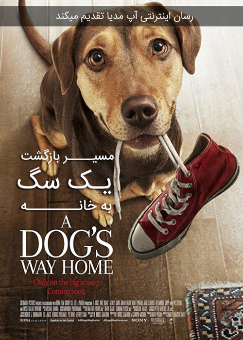 دانلود فیلم A Dogs Way Home 2019