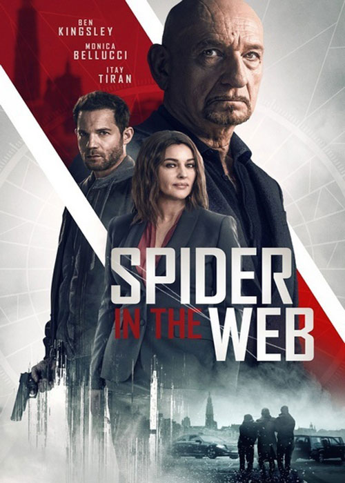 دانلود فیلم Spider in the Web 2019